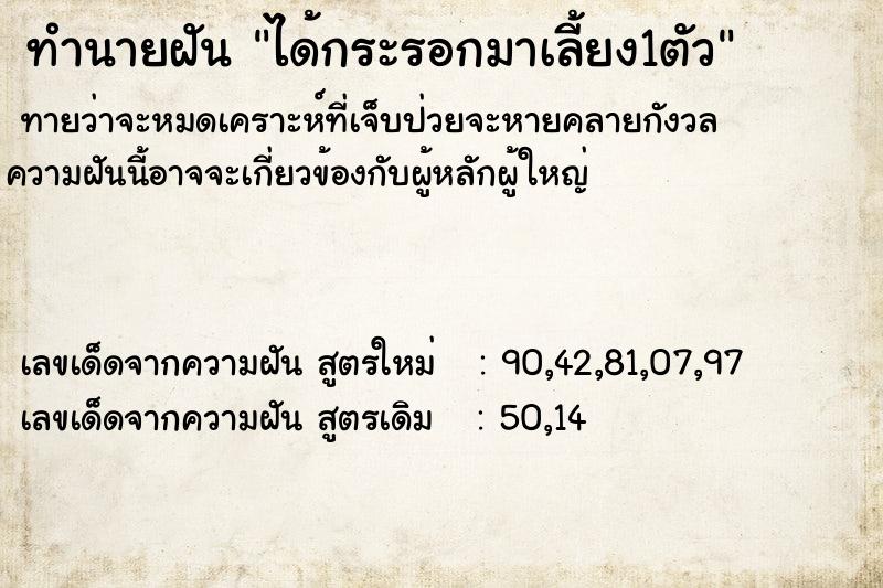 ทำนายฝันทำนายฝันได้กระรอกมาเลี้ยง1ตัว
