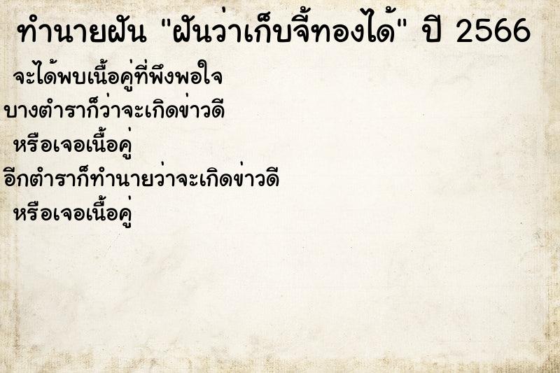 ทำนายฝันทำนายฝันฝันว่าเก็บจี้ทองได้