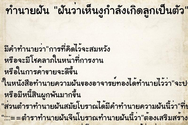 ทำนายฝัน ฝันว่าเห็นงูกำลังเกิดลูกเป็นตัว ทำนายฝัน ฝันว่าเห็นงูกำลังเกิดลูกเป็นตัว