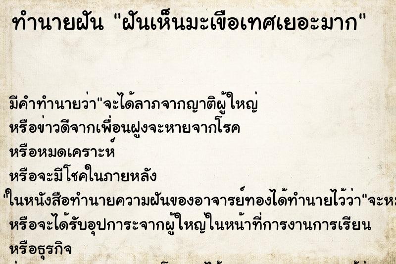 ทำนายฝัน ฝันเห็นมะเขือเทศเยอะมาก ทำนายฝัน ฝันเห็นมะเขือเทศเยอะมาก