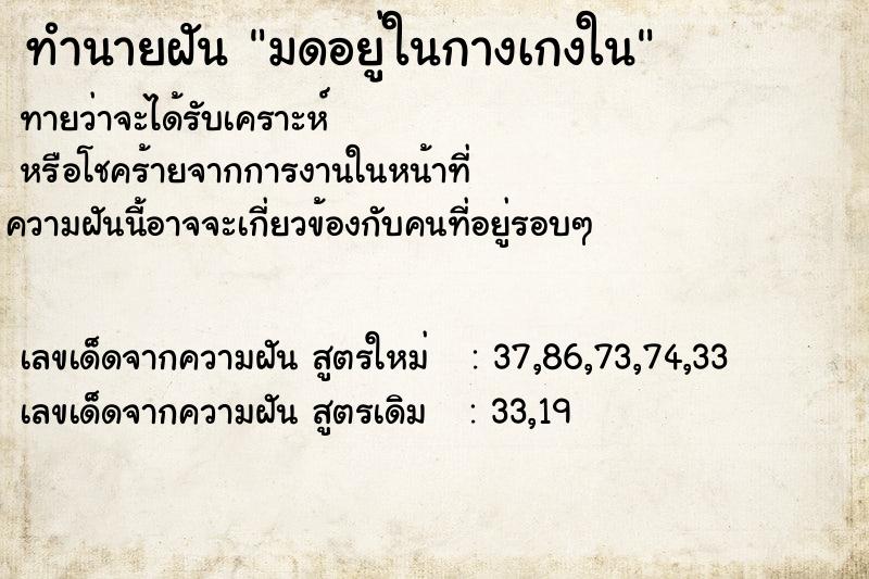 ทำนายฝันมดอยู่ในกางเกงใน ทำนายฝันทำนายฝันมดอยู่ในกางเกงใน