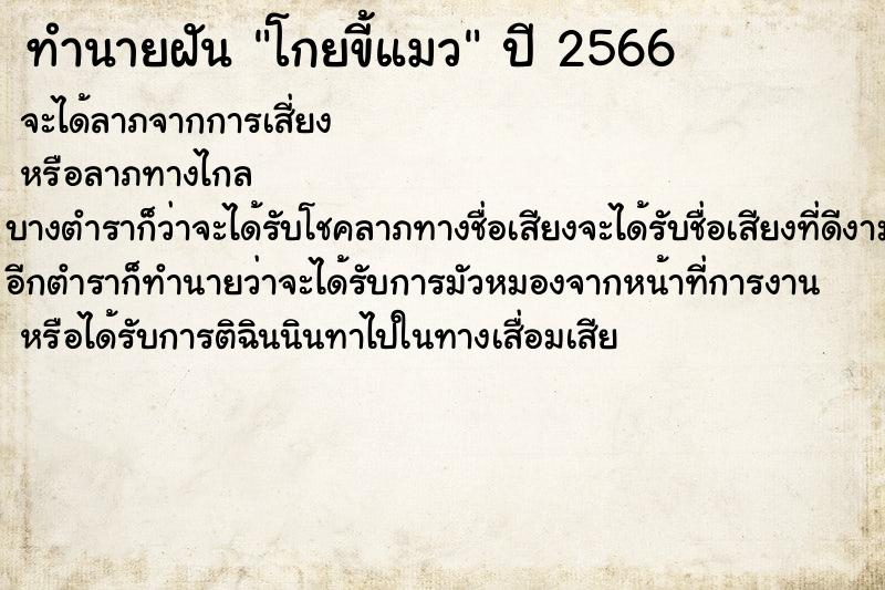 ทำนายฝัน โกยขี้แมว ทำนายฝัน โกยขี้แมว