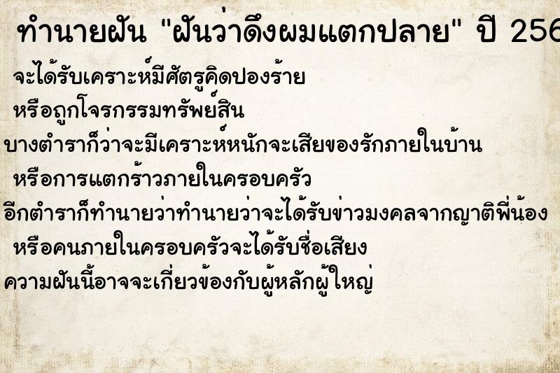 ทำนายฝันฝันว่าดึงผมแตกปลาย ทำนายฝันทำนายฝันฝันว่าดึงผมแตกปลาย