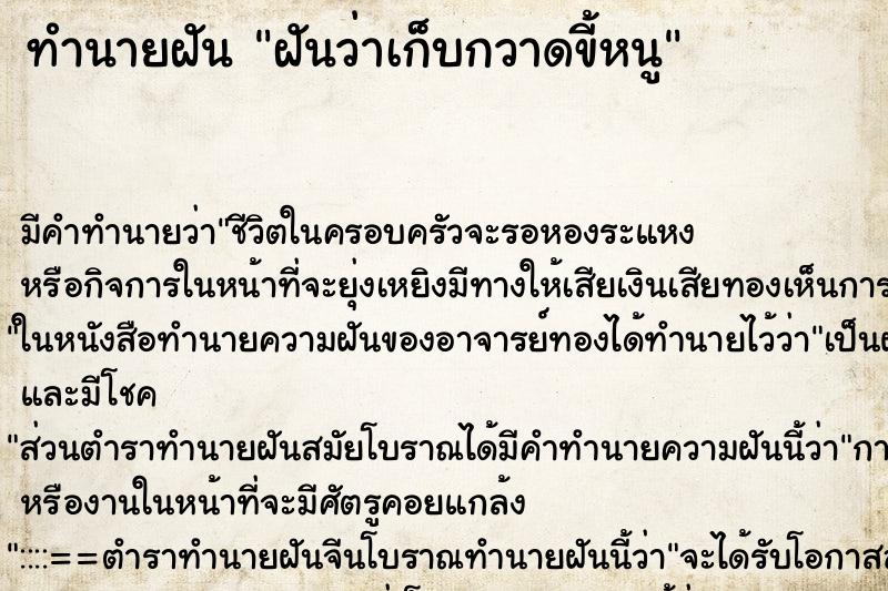 ทำนายฝัน ฝันว่าเก็บกวาดขี้หนู