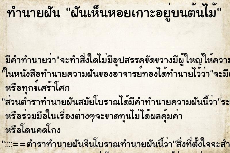 ทำนายฝัน ฝันเห็นหอยเกาะอยู่บนต้นไม้ ทำนายฝัน ฝันเห็นหอยเกาะอยู่บนต้นไม้