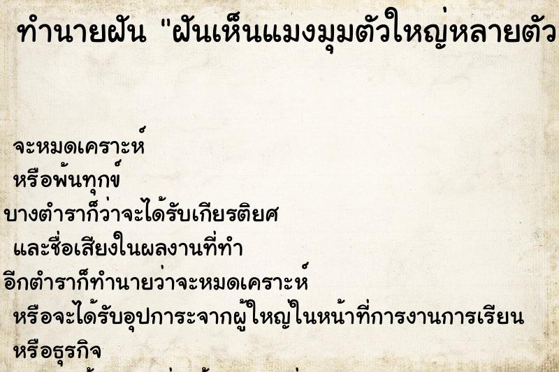 ทำนายฝันฝันเห็นแมงมุมตัวใหญ่หลายตัว ทำนายฝันทำนายฝันฝันเห็นแมงมุมตัวใหญ่หลายตัว