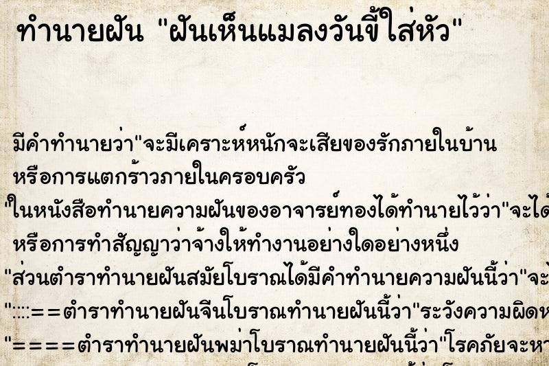 ทำนายฝันฝันเห็นแมลงวันขี้ใส่หัว ทำนายฝันทำนายฝันฝันเห็นแมลงวันขี้ใส่หัว