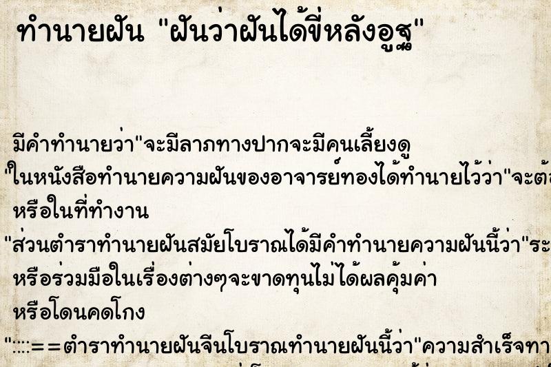 ทำนายฝันฝันว่าฝันได้ขี่หลังอูฐ ทำนายฝันทำนายฝันฝันว่าฝันได้ขี่หลังอูฐ