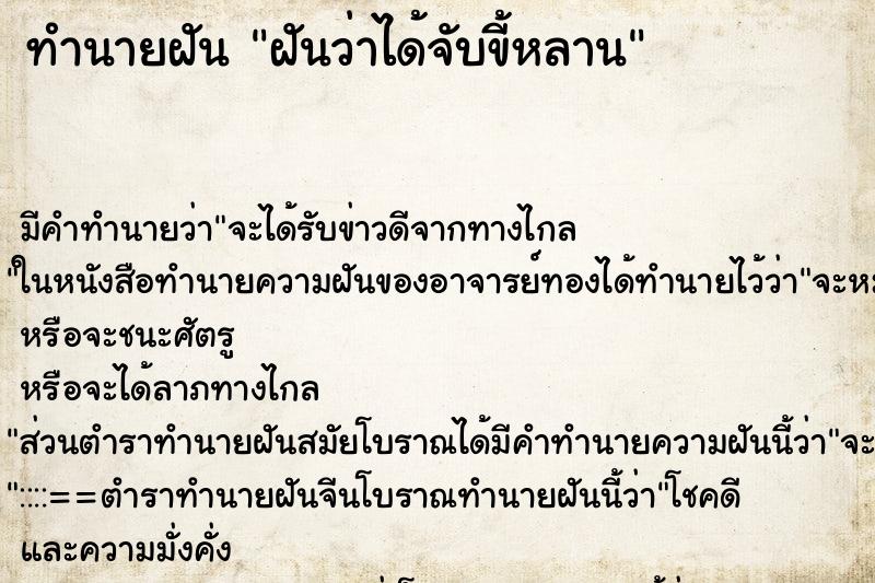 ทำนายฝัน ฝันว่าได้จับขี้หลาน ตำราโบราณ แม่นที่สุดในโลก