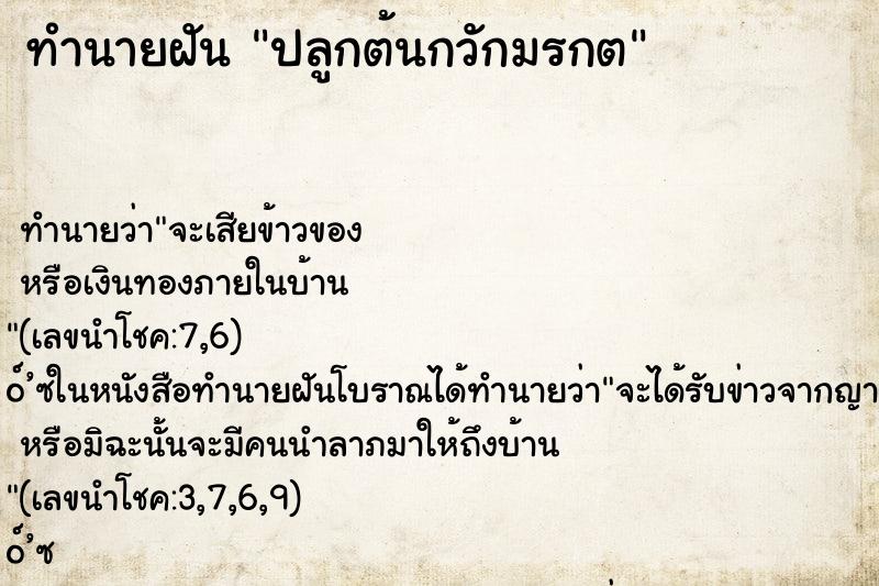 ทำนายฝัน ปลูกต้นกวักมรกต ทำนายฝัน ปลูกต้นกวักมรกต