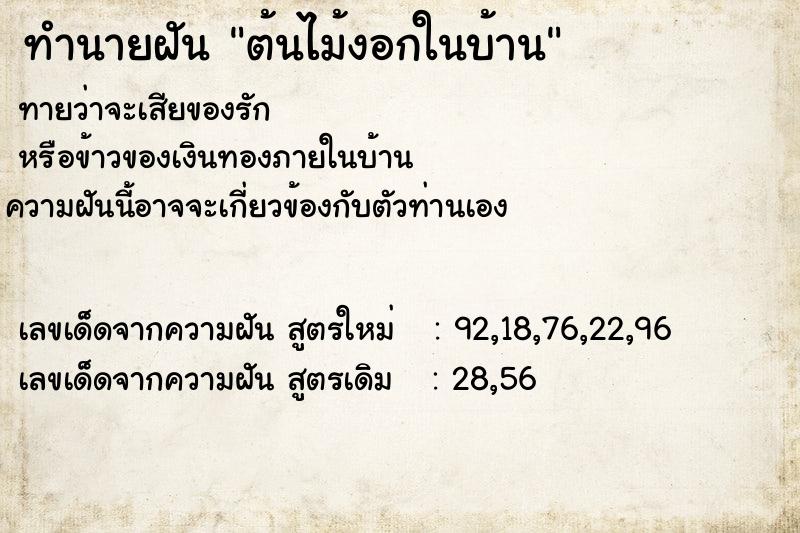ทำนายฝัน ต้นไม้งอกในบ้าน ทำนายฝัน ต้นไม้งอกในบ้าน
