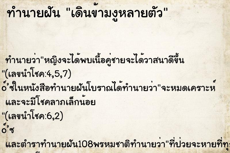 ทำนายฝันเดินข้ามงูหลายตัว ทำนายฝันทำนายฝันเดินข้ามงูหลายตัว