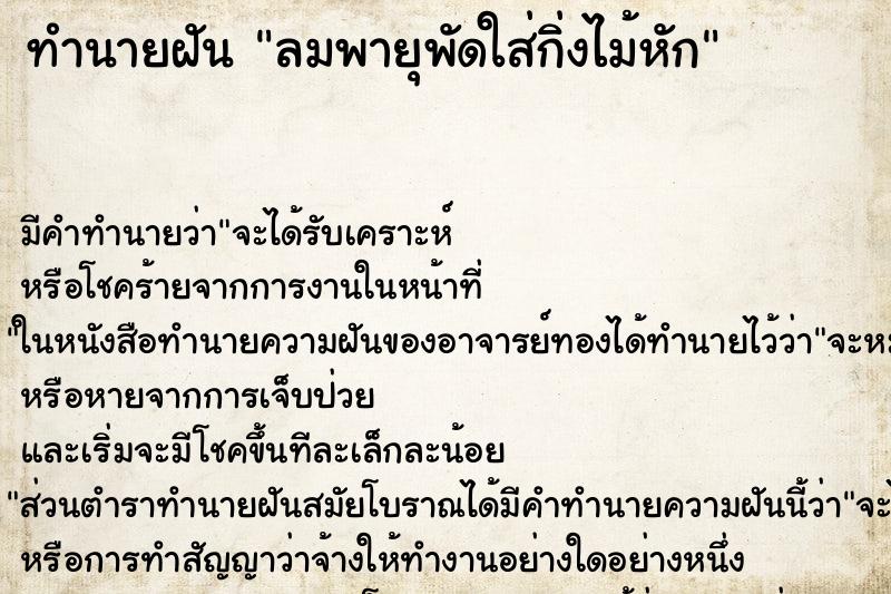 ทำนายฝันลมพายุพัดใส่กิ่งไม้หัก ทำนายฝันทำนายฝันลมพายุพัดใส่กิ่งไม้หัก