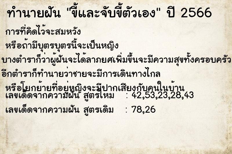 ทำนายฝัน ขี้และจับขี้ตัวเอง ทำนายฝัน ขี้และจับขี้ตัวเอง