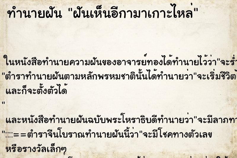 ทำนายฝันฝันเห็นอีกามาเกาะไหล่ ทำนายฝันทำนายฝันฝันเห็นอีกามาเกาะไหล่