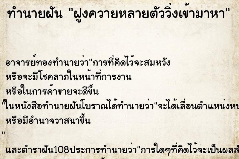 ทำนายฝันฝูงควายหลายตัววิ่งเข้ามาหา ทำนายฝันทำนายฝันฝูงควายหลายตัววิ่งเข้ามาหา