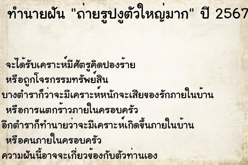 ทำนายฝันถ่ายรูปงูตัวใหญ่มาก ทำนายฝันทำนายฝันถ่ายรูปงูตัวใหญ่มาก
