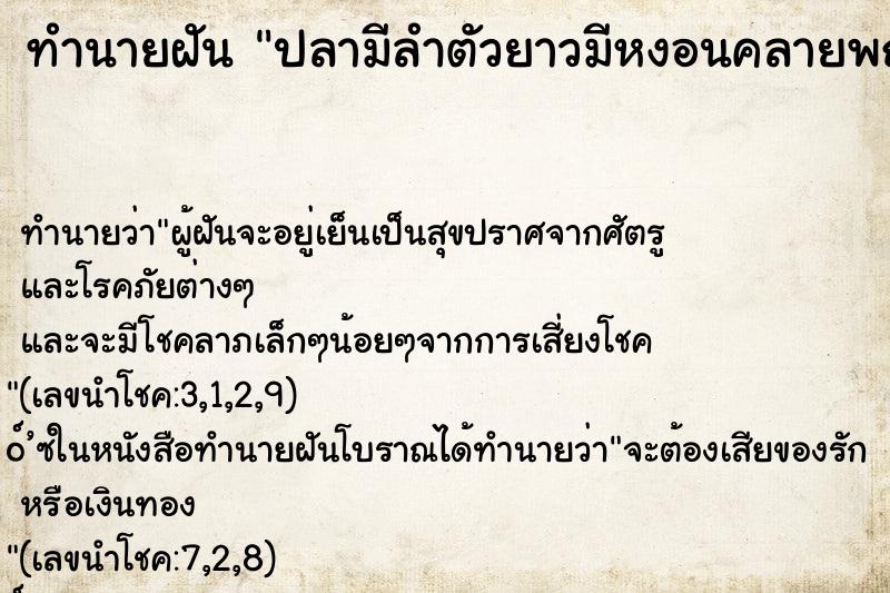 ทำนายฝัน ปลามีลำตัวยาวมีหงอนคลายพญานาค