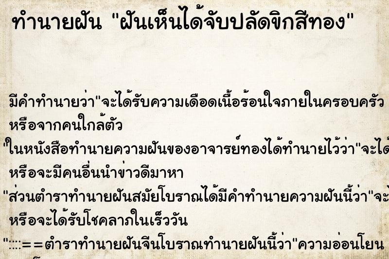 ทำนายฝันฝันเห็นได้จับปลัดขิกสีทอง ทำนายฝันทำนายฝันฝันเห็นได้จับปลัดขิกสีทอง