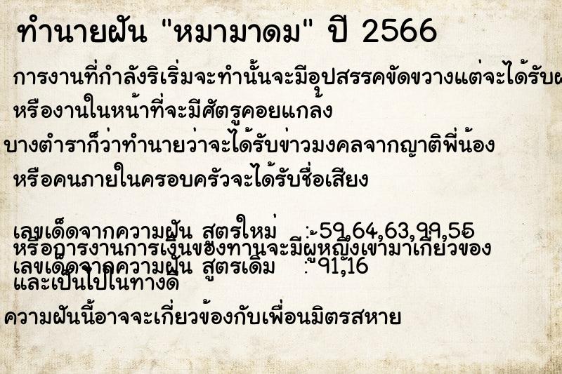 ทำนายฝัน หมามาดม ทำนายฝัน หมามาดม
