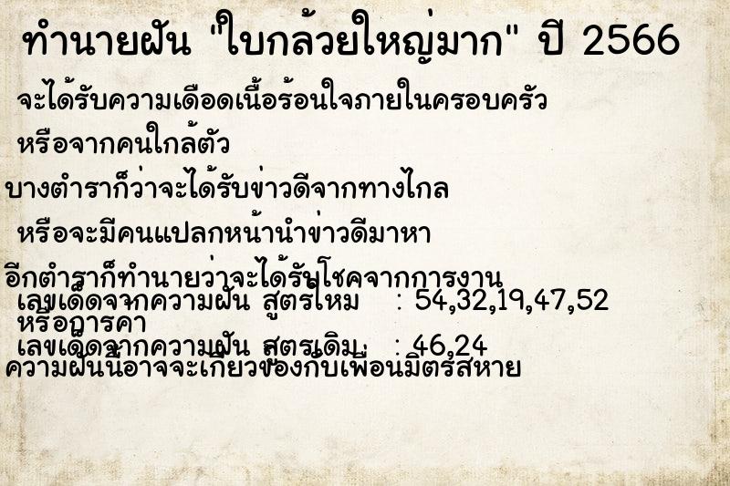 ทำนายฝันใบกล้วยใหญ่มาก ทำนายฝันทำนายฝันใบกล้วยใหญ่มาก