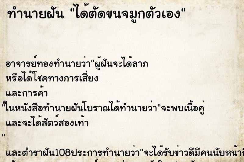 ทำนายฝัน ได้ตัดขนจมูกตัวเอง ทำนายฝัน ได้ตัดขนจมูกตัวเอง