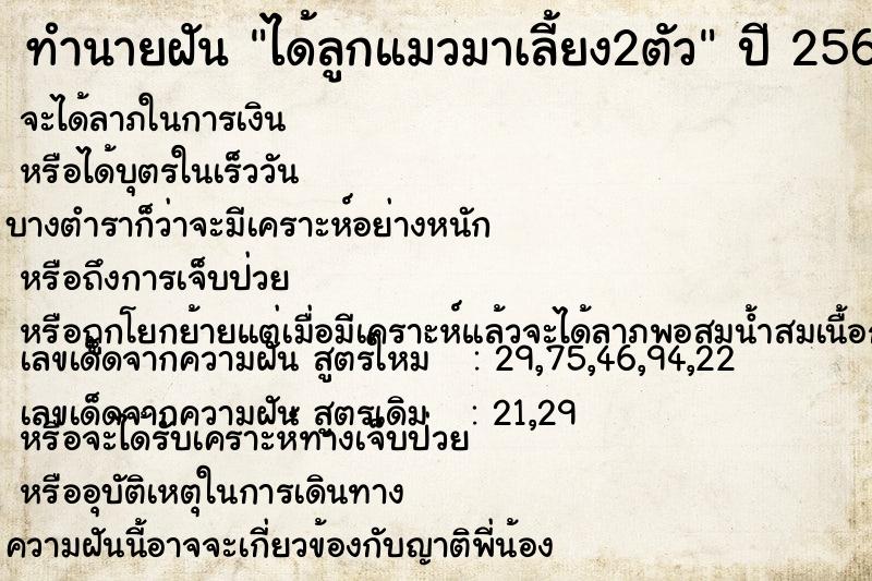 ทำนายฝันทำนายฝันได้ลูกแมวมาเลี้ยง2ตัว