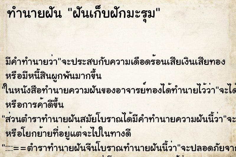 ทำนายฝัน ฝันเก็บฝักมะรุม ทำนายฝัน ฝันเก็บฝักมะรุม