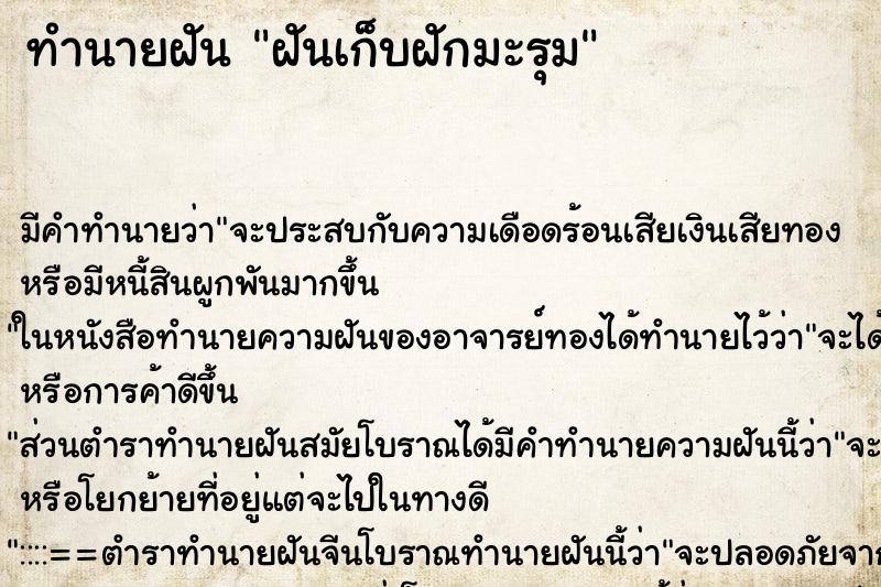 ทำนายฝัน ฝันเก็บฝักมะรุม ตำราโบราณ แม่นที่สุดในโลก