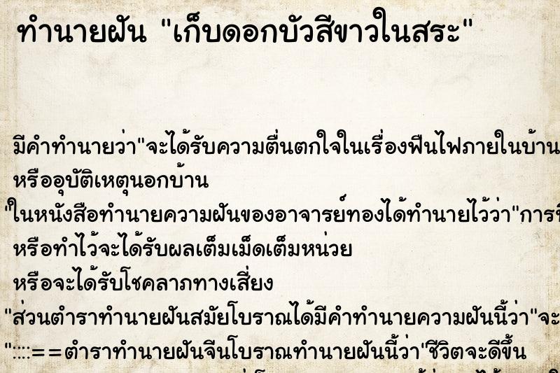ทำนายฝัน เก็บดอกบัวสีขาวในสระ