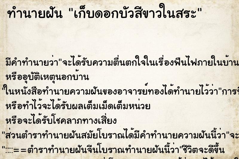 ทำนายฝัน เก็บดอกบัวสีขาวในสระ ตำราโบราณ แม่นที่สุดในโลก