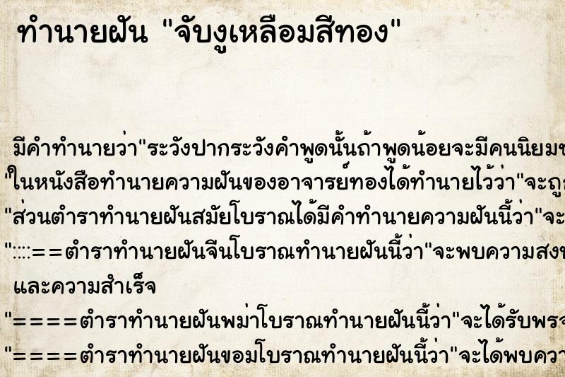 ทำนายฝันจับงูเหลือมสีทอง ทำนายฝันทำนายฝันจับงูเหลือมสีทอง