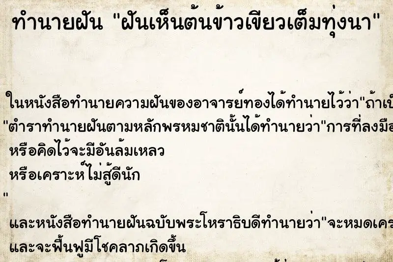 ทำนายฝัน ฝันเห็นต้นข้าวเขียวเต็มทุ่งนา ตำราโบราณ แม่นที่สุดในโลก