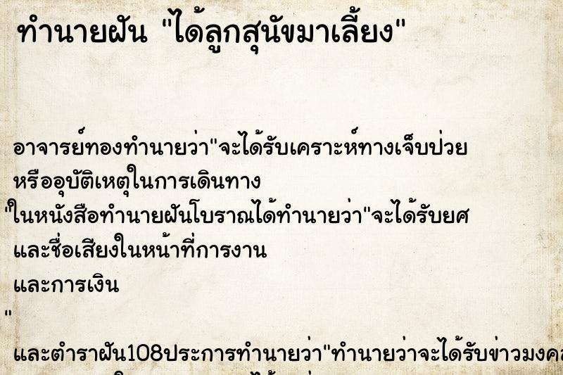 ทำนายฝัน ได้ลูกสุนัขมาเลี้ยง ทำนายฝัน ได้ลูกสุนัขมาเลี้ยง