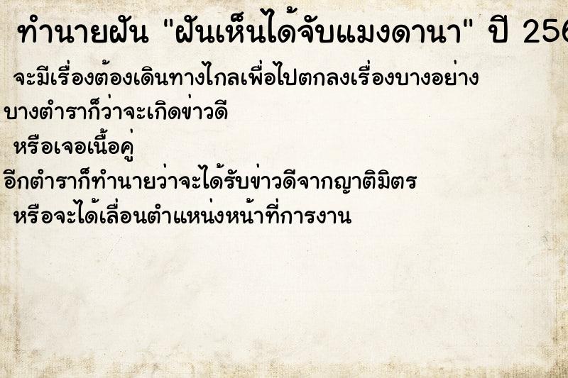 ทำนายฝันฝันเห็นได้จับแมงดานา ทำนายฝันทำนายฝันฝันเห็นได้จับแมงดานา