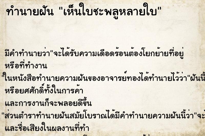 ทำนายฝัน เห็นใบชะพลูหลายใบ ทำนายฝัน เห็นใบชะพลูหลายใบ