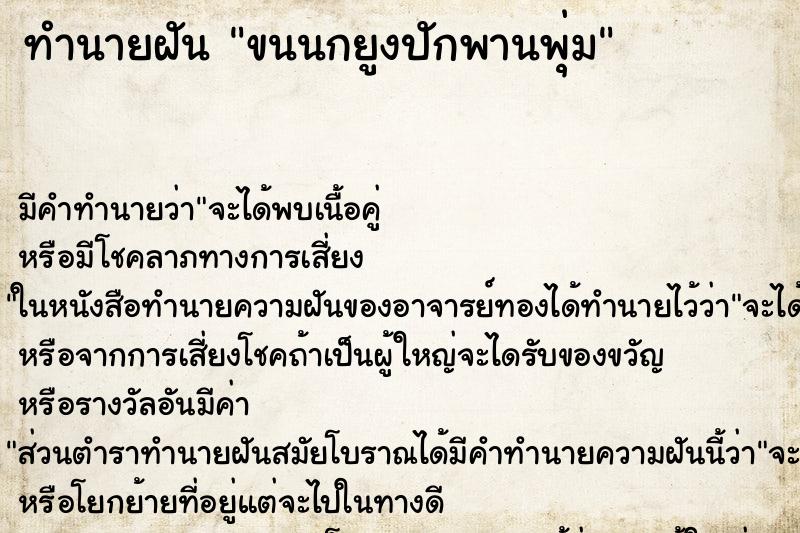 ทำนายฝันทำนายฝันขนนกยูงปักพานพุ่ม