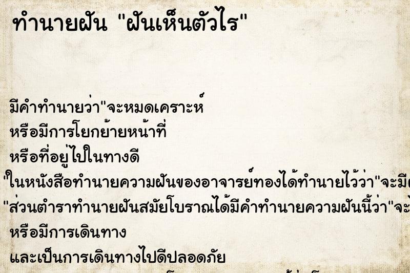 ทำนายฝันฝันเห็นตัวไร ทำนายฝันทำนายฝันฝันเห็นตัวไร