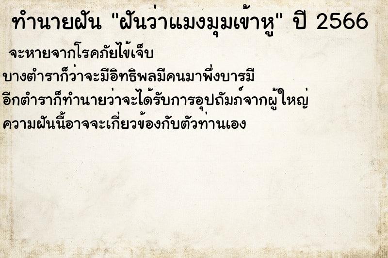 ทำนายฝันทำนายฝันฝันว่าแมงมุมเข้าหู