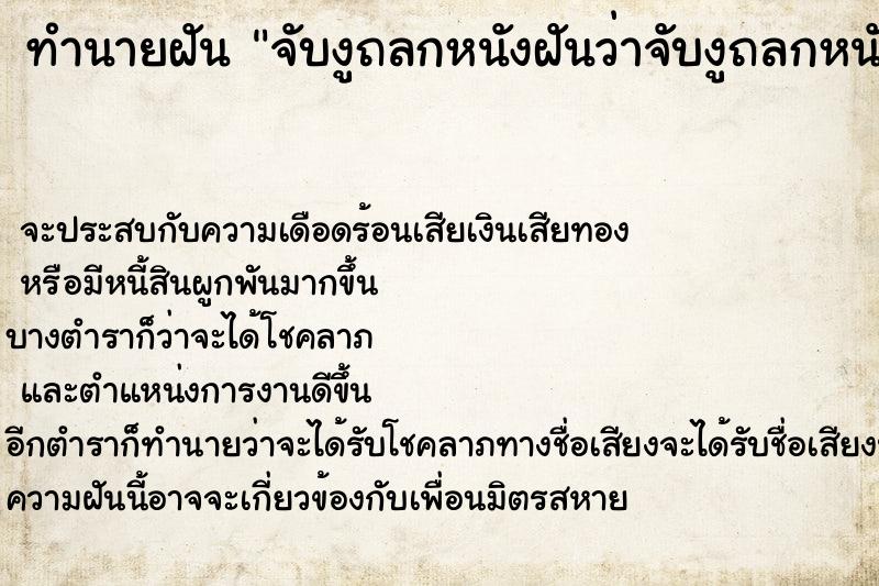 ทำนายฝันจับงูถลกหนังฝันว่าจับงูถลกหนัง ทำนายฝันทำนายฝันจับงูถลกหนังฝันว่าจับงูถลกหนัง