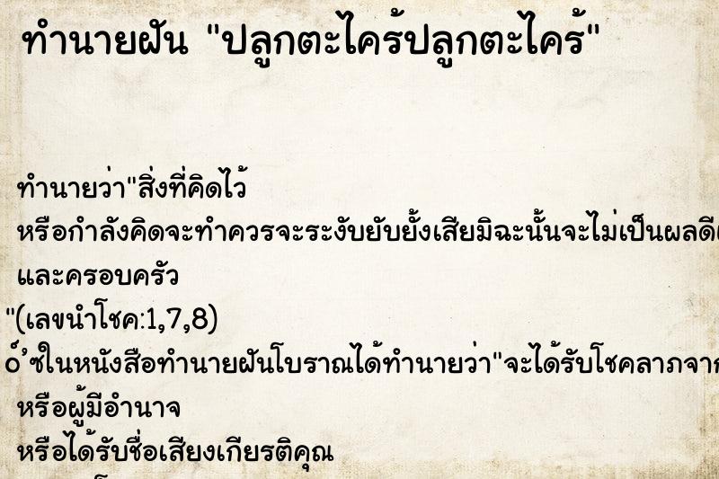 ทำนายฝัน ปลูกตะไคร้ปลูกตะไคร้ ทำนายฝัน ปลูกตะไคร้ปลูกตะไคร้
