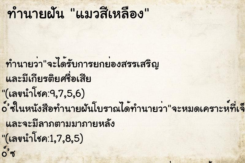 ทำนายฝัน แมวสีเหลือง