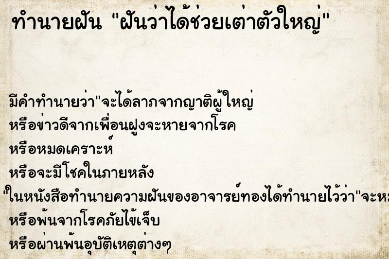ทำนายฝันฝันว่าได้ช่วยเต่าตัวใหญ่ ทำนายฝันทำนายฝันฝันว่าได้ช่วยเต่าตัวใหญ่