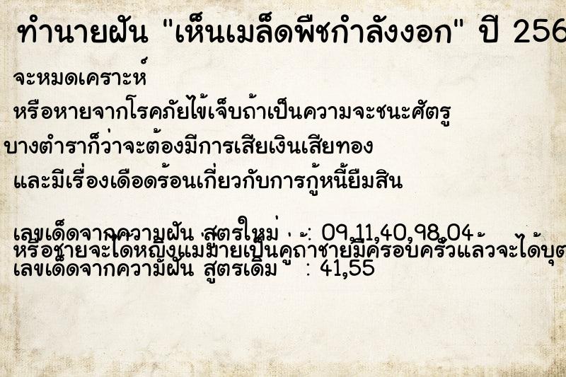 ทำนายฝัน เห็นเมล็ดพืชกำลังงอก ทำนายฝัน เห็นเมล็ดพืชกำลังงอก