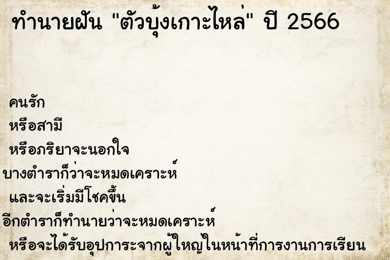 ทำนายฝันตัวบุ้งเกาะไหล่ ทำนายฝันทำนายฝันตัวบุ้งเกาะไหล่