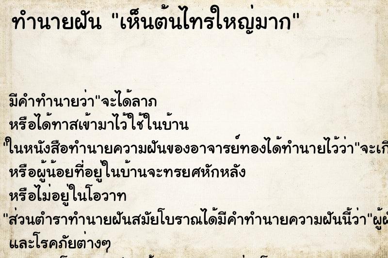 ทำนายฝัน เห็นต้นไทรใหญ่มาก ทำนายฝัน เห็นต้นไทรใหญ่มาก