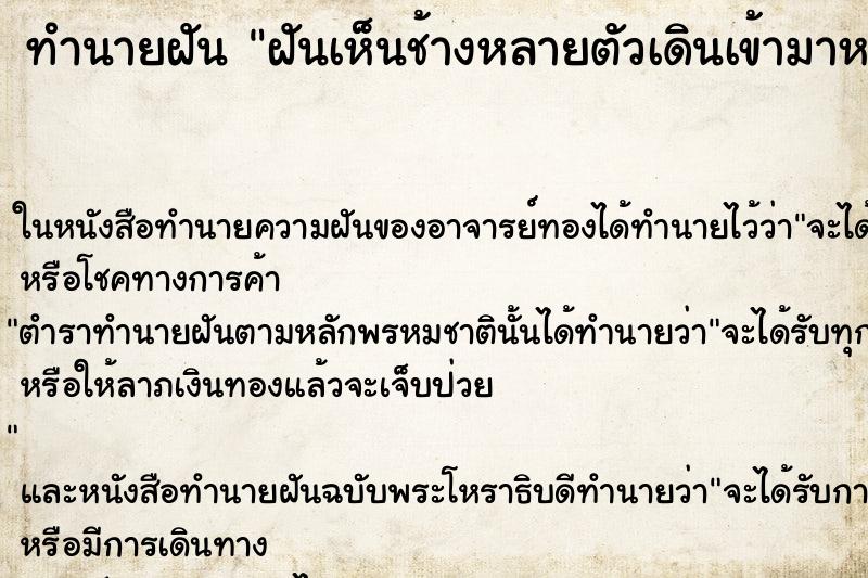 ทำนายฝันฝันเห็นช้างหลายตัวเดินเข้ามาหา ทำนายฝันทำนายฝันฝันเห็นช้างหลายตัวเดินเข้ามาหา