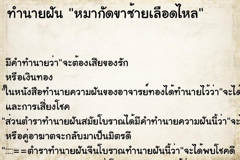ทำนายฝัน หมากัดขาซ้ายเลือดไหล ทำนายฝัน หมากัดขาซ้ายเลือดไหล