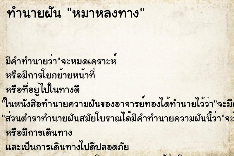 ทำนายฝัน หมาหลงทาง ทำนายฝัน หมาหลงทาง