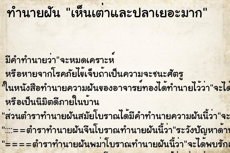 ทำนายฝัน เห็นเต่าและปลาเยอะมาก ทำนายฝัน เห็นเต่าและปลาเยอะมาก